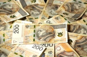 banknotes, the currency in poland, finances, money, cash, savings, pay, bank, to save, money making, bank note, rise, money, money, money, money, money, cash, cash